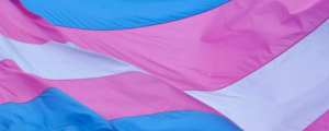 Trans-flag-3