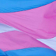 Trans-flag-3