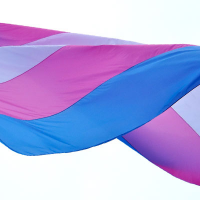 thumb transgender-flag-200x200