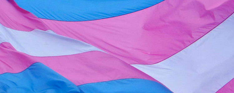 transgender flag 12345566722