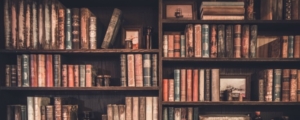 HUAYI-font-b-bookshelf-b-font-backdrop-for-photography-library-backdrop-xt5465