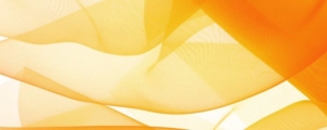 banner-orange - header neda blog