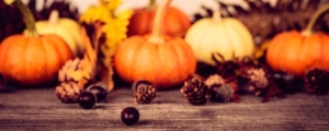USA_Thanksgiving_1920_800 1