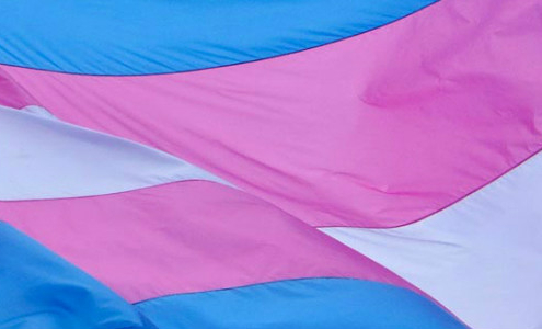 transgender flag 12345566722333