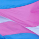 transgender flag 12345566722333