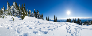holiday hope (1)