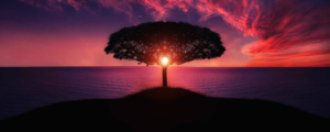 dawn-dusk-hd-wallpaper-36717 (banner)