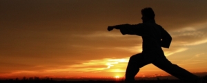 karate banner (1)