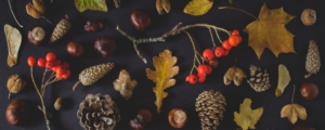 thanksgiving banner