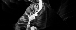 mind body (banner)