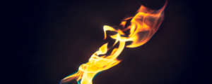 olga-bast-785328-unsplash (banner)