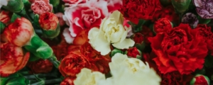sidney-pearce-620674-unsplash (banner)