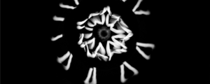 marcus-castro--y7YTy2zr1M-unsplash (banner)