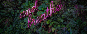 victor-garcia-BiGS_w9t7FU-unsplash (banner)