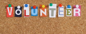 Volunteer Blog Banner