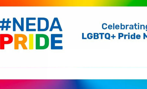 NEDA Pride Blog Banner_v2