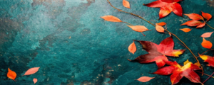 Liz Thompson Thanksgiving Blog_banner