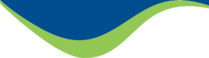 NEDA Logo