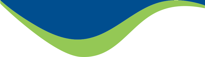 NEDA Logo